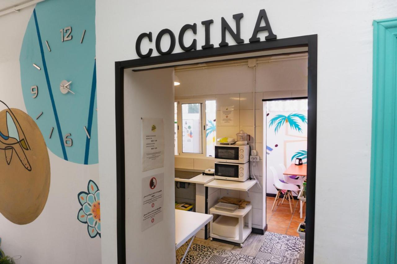 Tenerife Experience Hostel Santa Cruz de Tenerife Dış mekan fotoğraf