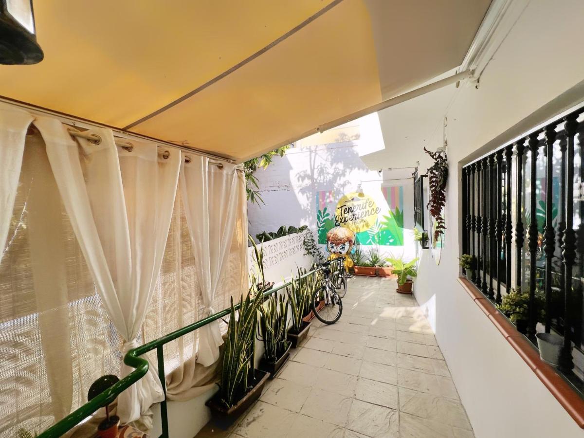 Tenerife Experience Hostel Santa Cruz de Tenerife Dış mekan fotoğraf