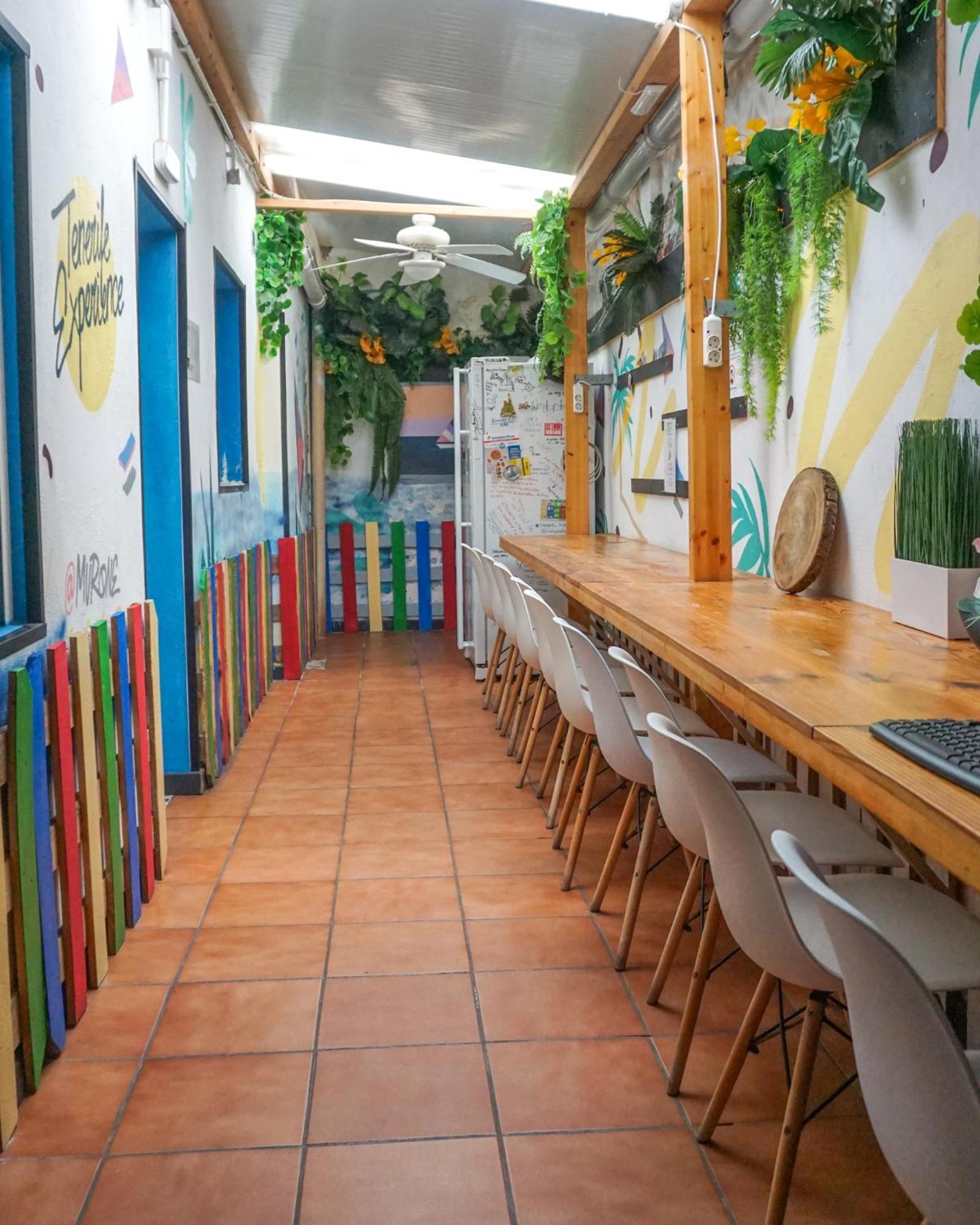 Tenerife Experience Hostel Santa Cruz de Tenerife Dış mekan fotoğraf