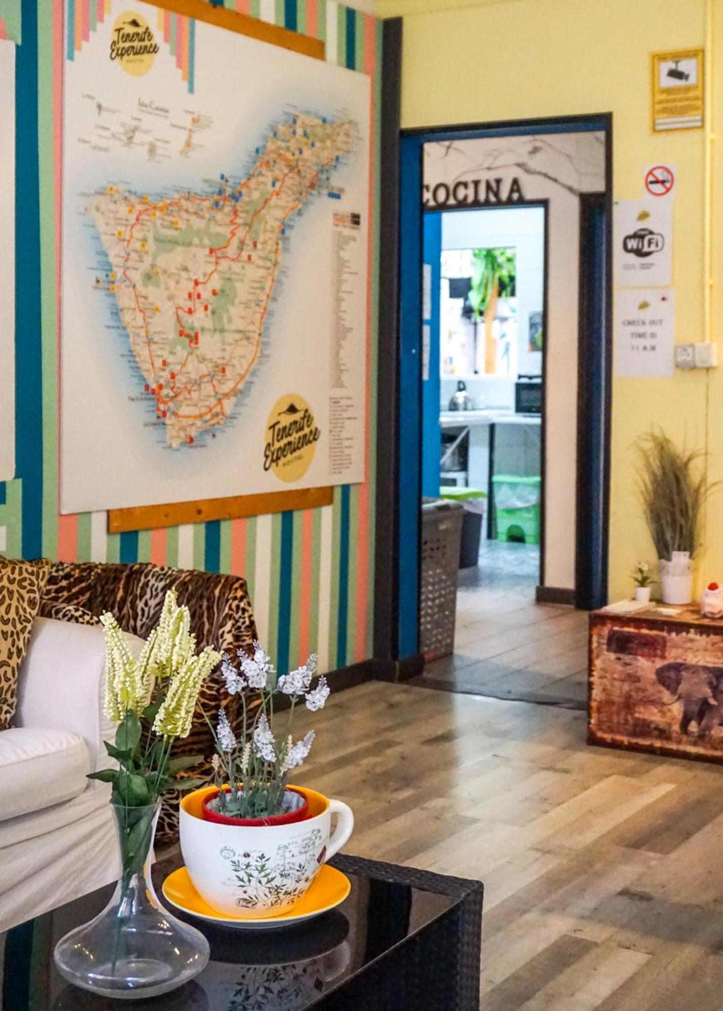 Tenerife Experience Hostel Santa Cruz de Tenerife Dış mekan fotoğraf