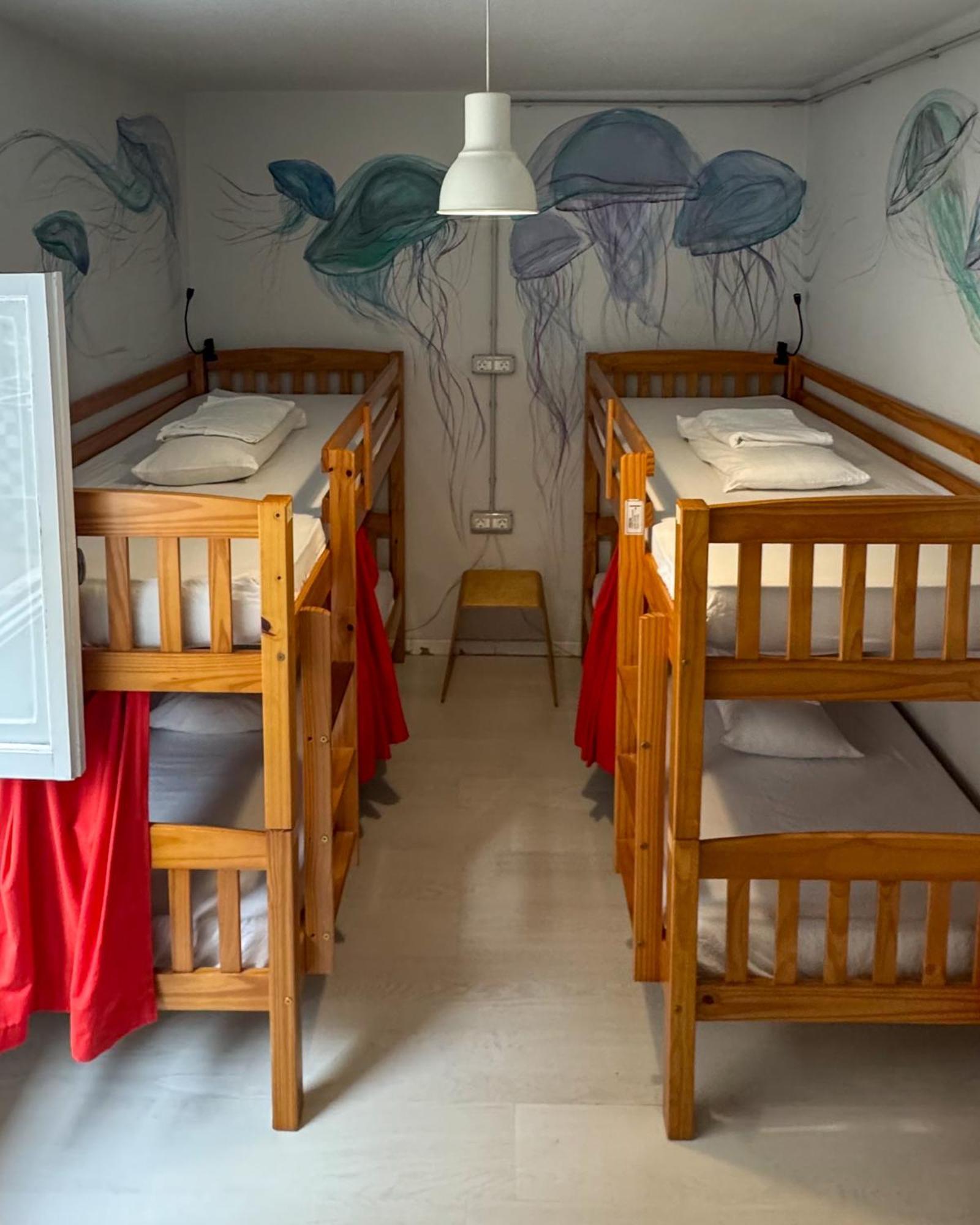 Tenerife Experience Hostel Santa Cruz de Tenerife Dış mekan fotoğraf